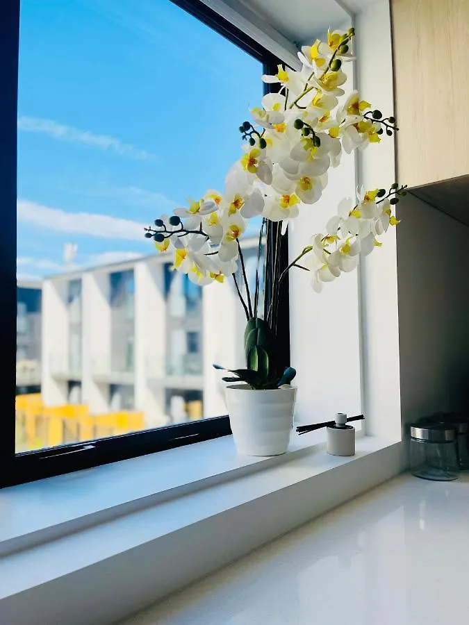 Walking Distance To Riverside Market & Hospital Christchurch